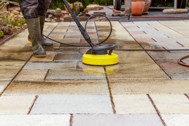 Best Animal Enclosure Cleaning  in Boston Heights, OH